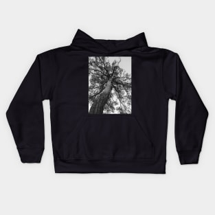 tree of life Kids Hoodie